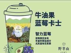 -野萃山·潮汕厚果汁(十亩地店)
