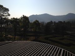 IMG_2298-宁波九龙湖开元度假村