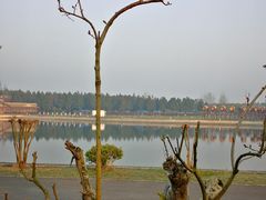 -崇明东平国家森林公园烧烤房车露营地