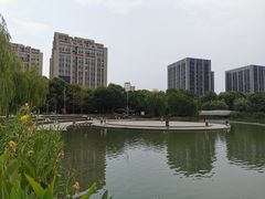 -南翔镇银翔湖公园