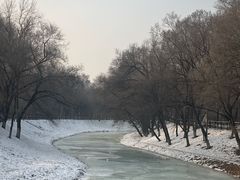 -黛秀湖公园