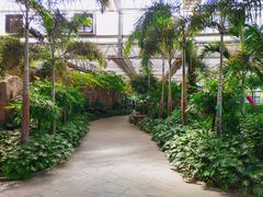 -南宫五洲植物乐园