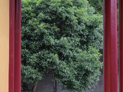 -余姚市灵岩禅寺