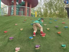 -北戴河集发农业梦想王国