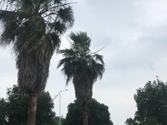 -梁子湖东篱老屋生态庄园