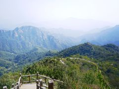 -大岭沟猕猴桃谷风景区