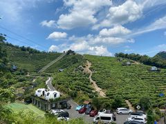 -长沙黑麋峰国家森林公园
