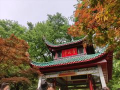 -岳麓山风景名胜区