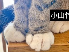 -平行世界·猫咖(首经贸店)