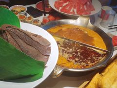 -九鼎轩脆毛肚火锅(三钢里店)