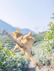 -Oasis Beauty水磨坊科技美肤中心