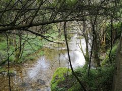 -牛背梁国家森林公园