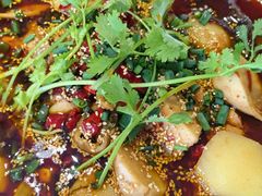 -川囧肥肠鸡·美蛙鱼锅(平高广场店)
