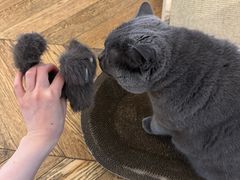 -Me Coffee下午茶艺术空间