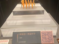 -温州博物馆