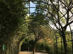 -东海大峡谷