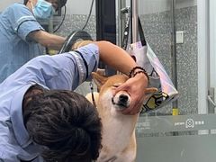 -宠物家(长阳店)