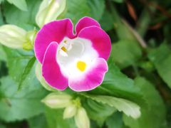 -杭州城北体育公园