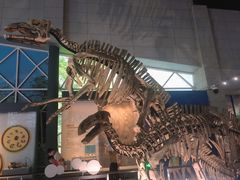 -湖南省地质博物馆