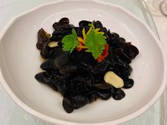 -宝燕海鲜(好爱店)