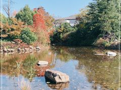 -白马涧龙池景区