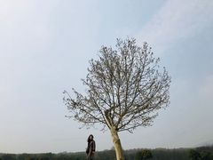 -钟山体育运动公园