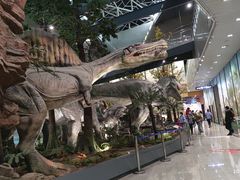 -湖南省地质博物馆