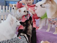 -怪兽屋·羊驼·猫咖·狗咖(俊华广场店)