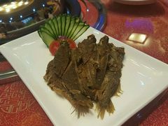 -海岛渔村大酒店(云霄路店)