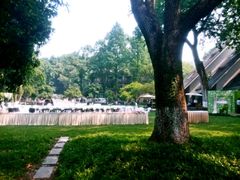 android_upload_pic-杭州花家山庄