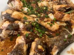 豉汁蒸西江骨鱼-荣兴河鲜楼