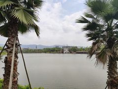 -枫香湖儿童公园