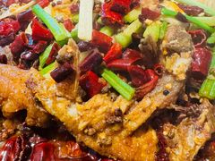 -老板恋上鱼(恒隆广场店)