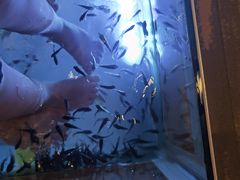 -汤连得温泉馆(宝山店)