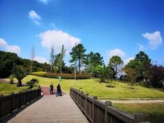 -美兰湖景区