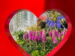 -海心沙亚运公园