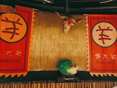 -羊大爷涮肉(亮马桥店)