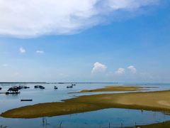 -北海金海湾红树林生态旅游区