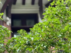 -上海交通大学医学院附属瑞金医院(总院)