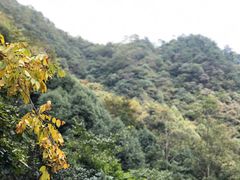 -太湖源风景区