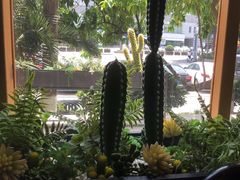 -阿斯牛牛·凉山菜(新会展店)