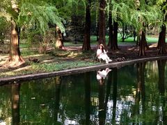 -上海共青森林公园