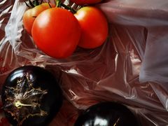 -庞各庄翠芳园西瓜蔬菜基地采摘园