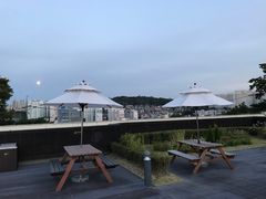 -乐天免税店(明洞店)