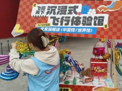 -飞览天下沉浸式飞行体验(北京旗舰店)