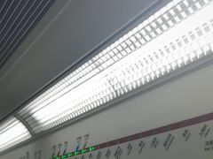 -大望路(地铁站)