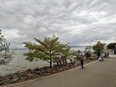 -深圳湾公园(南山区)