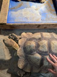 -Zoolung Zoolung动物主题公园(海信广场店)