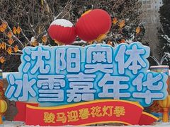-沈阳奥体冰雪嘉年华