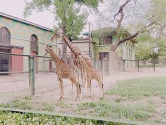 -北京海洋馆